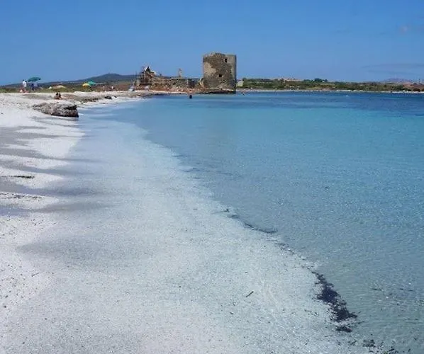 Cala Lupo, 400m Dalla Daire *